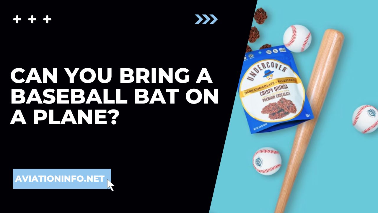 Can You Bring A Baseball Bat On A Plane