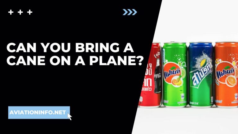 can-you-bring-a-cane-on-a-plane-aviation-info