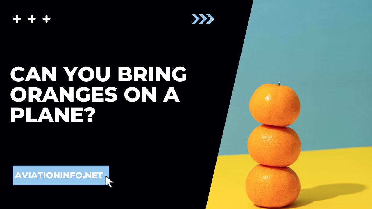 Can You Bring Oranges On A Plane